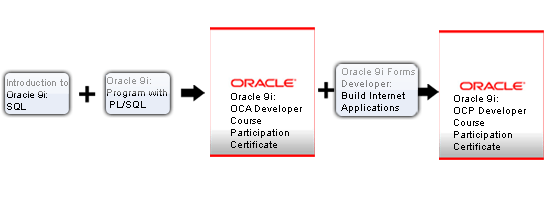 oracle pl sql developer certified associate